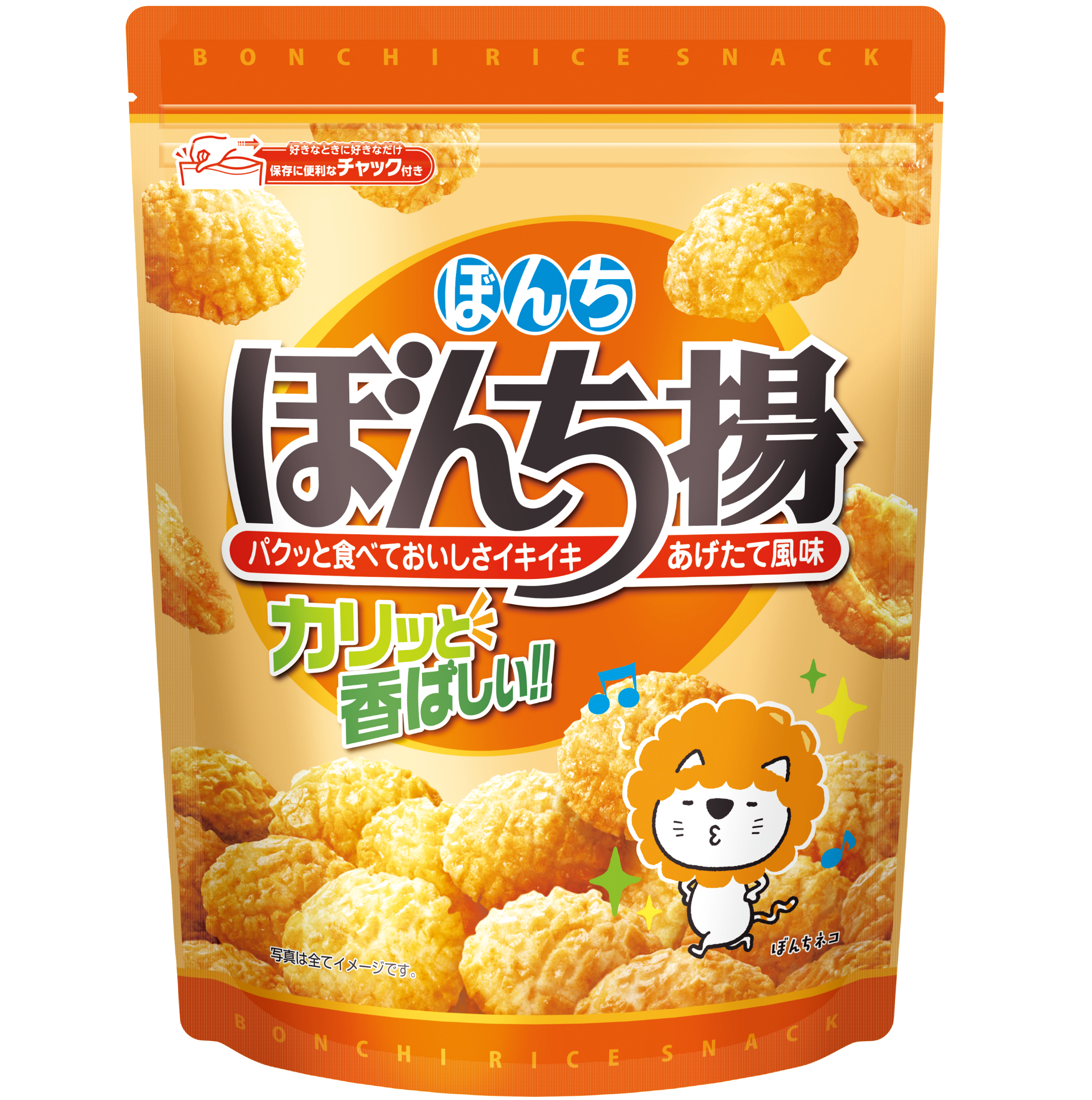 100g ぼんち揚 チャック付 – 日清食品グループ オンラインストア