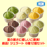【サマーセール】冷凍 完全メシ DELI ジェラート 6種(12個入)セット