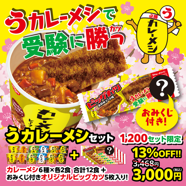 うカレーメシセット