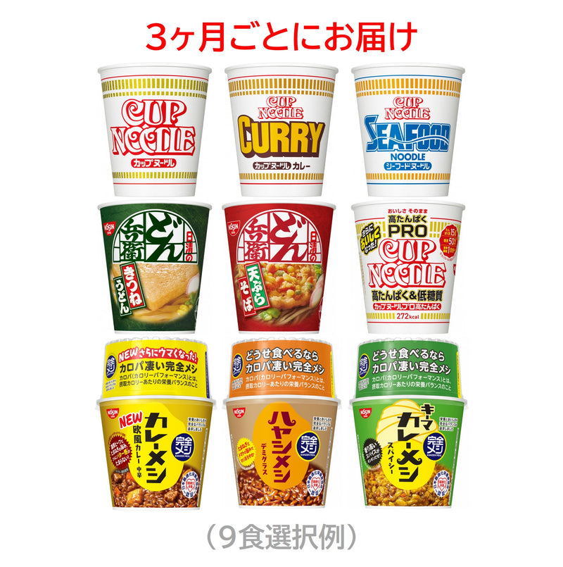 カップヌードル ローリングストック入替9食セット