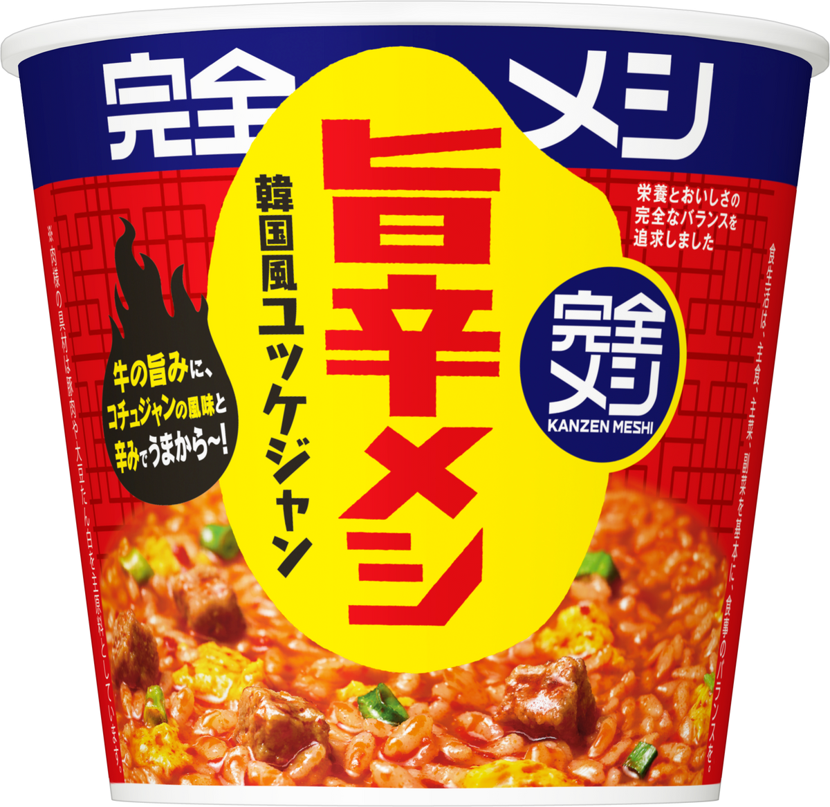 完全メシ キーマカレーメシ | 日清食品グループ 日清 完全めき 